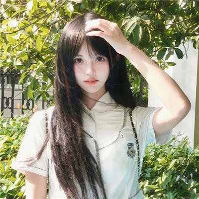 套路大师 封面