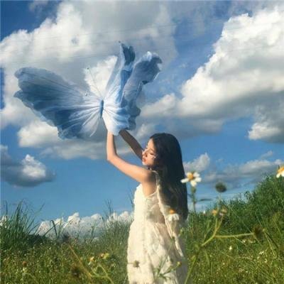乐韵柔情 封面
